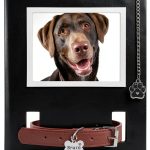 Dog Cat Collar Memorial Frame with Paw Print Charm by MYPAWLETS Black-0