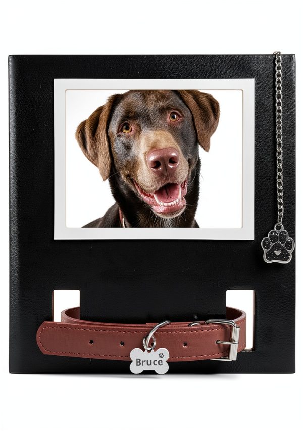Dog Cat Collar Memorial Frame with Paw Print Charm by MYPAWLETS Black-0